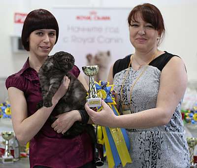   11-12  2015 WCF- 9-135-169A5361 copy.jpg